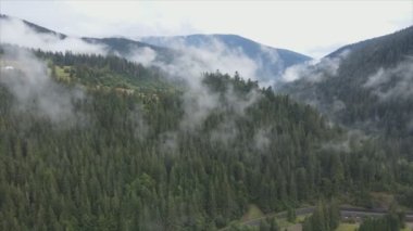 This stock footage shows aerial view of mountains covered with fog - Carpathians, Ukraine in 8K resolution