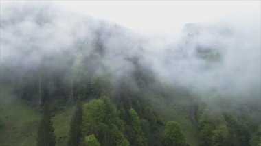 This stock footage shows aerial view of mountains covered with fog - Carpathians, Ukraine in 8K resolution