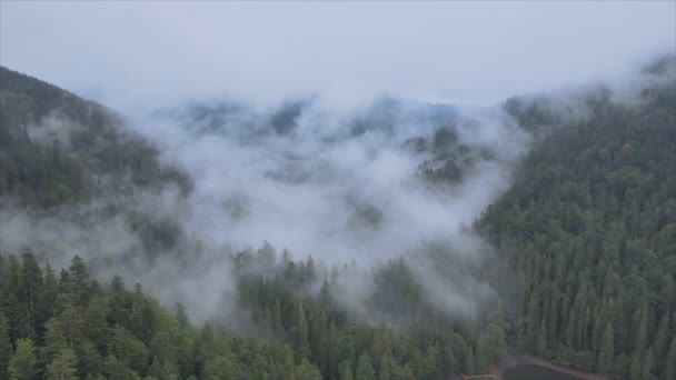 Stock Footage Shows Aerial View Mountains Covered Fog Carpathians Ukraine — Video Stock