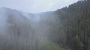 This stock footage shows aerial view of mountains covered with fog - Carpathians, Ukraine in 8K resolution