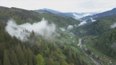 This stock footage shows aerial view of mountains covered with fog - Carpathians, Ukraine in 8K resolution