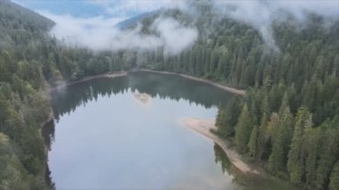 This stock video shows an aerial view of Synevyr Lake in the Carpathian Mountains, Ukraine in 8K resolution