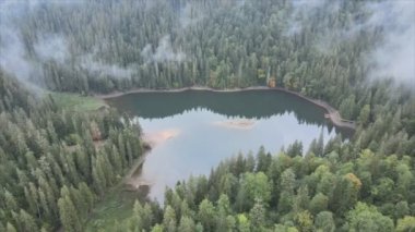 This stock video shows an aerial view of Synevyr Lake in the Carpathian Mountains, Ukraine in 8K resolution