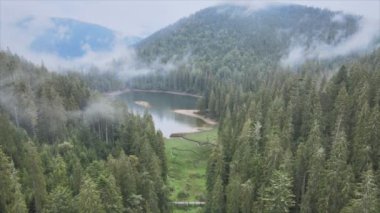 This stock video shows an aerial view of Synevyr Lake in the Carpathian Mountains, Ukraine in 8K resolution