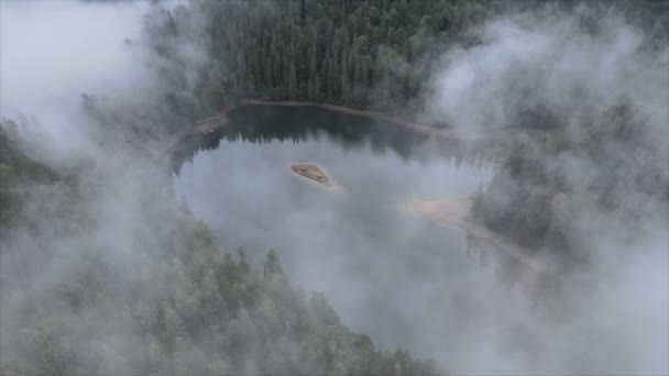 Stock Video Shows Aerial View Synevyr Lake Carpathian Mountains Ukraine — 图库视频影像