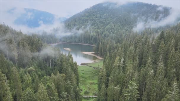 Stock Video Shows Aerial View Synevyr Lake Carpathian Mountains Ukraine — Stockvideo