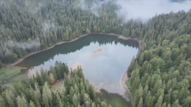 This stock video shows an aerial view of Synevyr Lake in the Carpathian Mountains, Ukraine in 8K resolution
