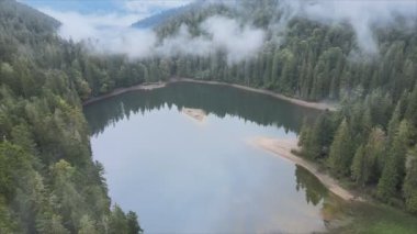 This stock video shows an aerial view of Synevyr Lake in the Carpathian Mountains, Ukraine in 8K resolution