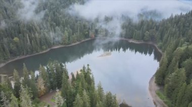 This stock video shows an aerial view of Synevyr Lake in the Carpathian Mountains, Ukraine in 8K resolution