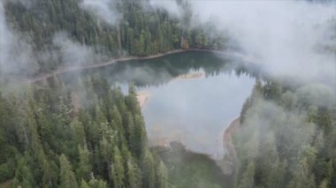 This stock video shows an aerial view of Synevyr Lake in the Carpathian Mountains, Ukraine in 8K resolution
