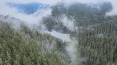 This stock video shows an aerial view of Synevyr Lake in the Carpathian Mountains, Ukraine in 8K resolution