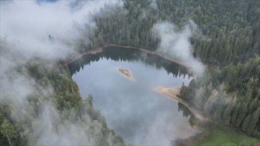 This stock video shows an aerial view of Synevyr Lake in the Carpathian Mountains, Ukraine in 8K resolution