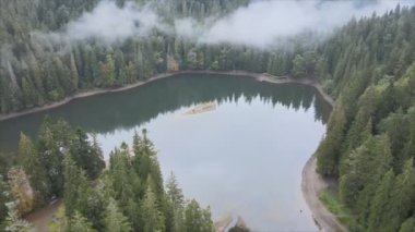 This stock video shows an aerial view of Synevyr Lake in the Carpathian Mountains, Ukraine in 8K resolution