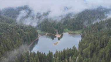 This stock video shows an aerial view of Synevyr Lake in the Carpathian Mountains, Ukraine in 8K resolution