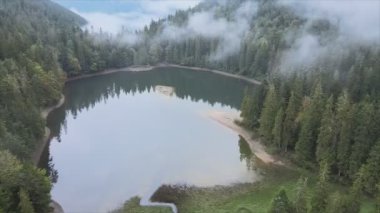 This stock video shows an aerial view of Synevyr Lake in the Carpathian Mountains, Ukraine in 8K resolution