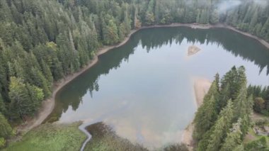 This stock video shows an aerial view of Synevyr Lake in the Carpathian Mountains, Ukraine in 8K resolution