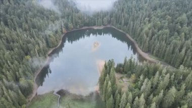 This stock video shows an aerial view of Synevyr Lake in the Carpathian Mountains, Ukraine in 8K resolution