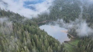 This stock video shows an aerial view of Synevyr Lake in the Carpathian Mountains, Ukraine in 8K resolution