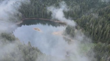 This stock video shows an aerial view of Synevyr Lake in the Carpathian Mountains, Ukraine in 8K resolution