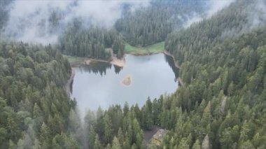This stock video shows an aerial view of Synevyr Lake in the Carpathian Mountains, Ukraine in 8K resolution