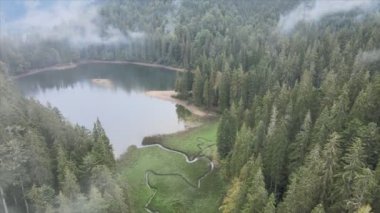 This stock video shows an aerial view of Synevyr Lake in the Carpathian Mountains, Ukraine in 8K resolution