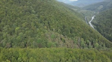 This stock footage shows aerial view of the mountain landscape of the Carpathians, Ukraine in 8K resolution