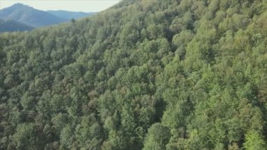 This stock footage shows aerial view of the mountain landscape of the Carpathians, Ukraine in 8K resolution