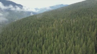 This stock footage shows aerial view of the mountain landscape of the Carpathians, Ukraine in 8K resolution
