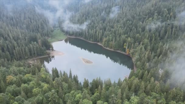 Stock Video Shows Aerial View Synevyr Lake Carpathian Mountains Ukraine — 图库视频影像