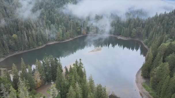 Stock Video Shows Aerial View Synevyr Lake Carpathian Mountains Ukraine — Vídeo de Stock