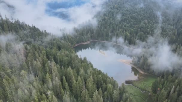 Stock Video Shows Aerial View Synevyr Lake Carpathian Mountains Ukraine — Stock video