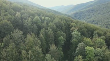 This stock footage shows aerial view of the mountain landscape of the Carpathians, Ukraine in 8K resolution