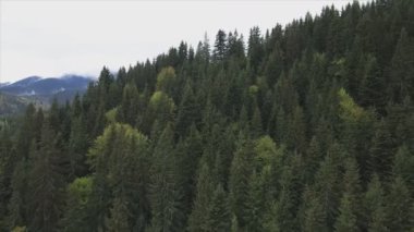 This stock footage shows aerial view of the mountain landscape of the Carpathians, Ukraine in 8K resolution
