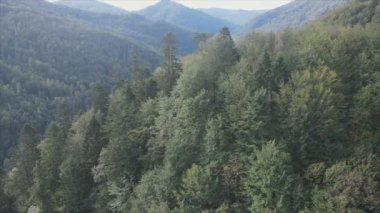 This stock footage shows aerial view of the mountain landscape of the Carpathians, Ukraine in 8K resolution