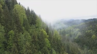 This stock footage shows aerial view of the mountain landscape of the Carpathians, Ukraine in 8K resolution