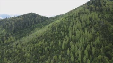 This stock footage shows aerial view of the mountain landscape of the Carpathians, Ukraine in 8K resolution