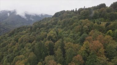 This stock footage shows aerial view of the mountain landscape of the Carpathians, Ukraine in 8K resolution