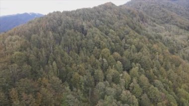 This stock footage shows aerial view of the mountain landscape of the Carpathians, Ukraine in 8K resolution