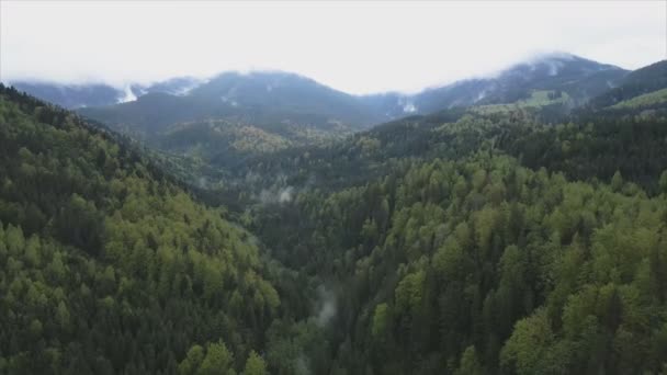 Stock Footage Shows Aerial View Mountain Landscape Carpathians Ukraine Resolution — Stockvideo