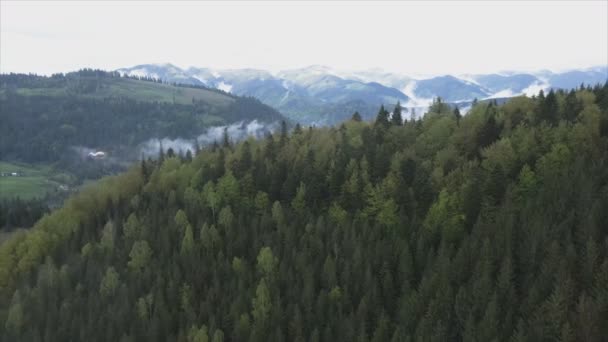 Stock Footage Shows Aerial View Mountain Landscape Carpathians Ukraine Resolution — Stok video