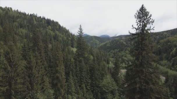 Stock Footage Shows Aerial View Mountain Landscape Carpathians Ukraine Resolution — Vídeo de stock
