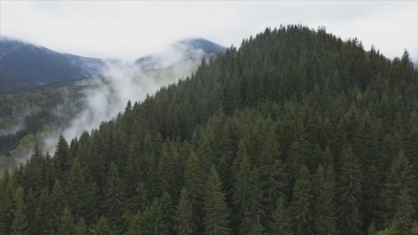 Stock Footage Shows Aerial View Mountain Landscape Carpathians Ukraine Resolution — Video