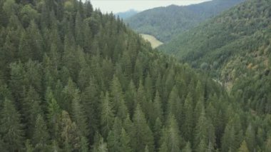 This stock footage shows aerial view of the mountain landscape of the Carpathians, Ukraine in 8K resolution