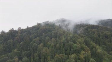 This stock footage shows aerial view of the mountain landscape of the Carpathians, Ukraine in 8K resolution
