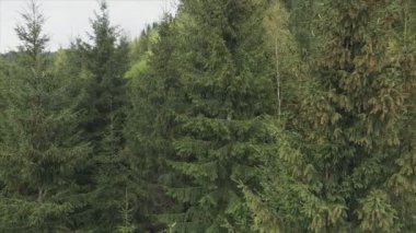 This stock footage shows aerial view of the mountain landscape of the Carpathians, Ukraine in 8K resolution