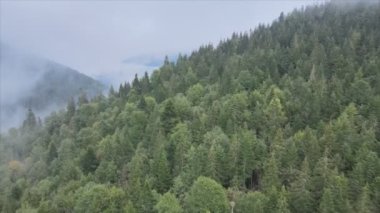 This stock footage shows aerial view of the mountain landscape of the Carpathians, Ukraine in 8K resolution