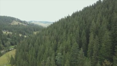 This stock footage shows aerial view of the mountain landscape of the Carpathians, Ukraine in 8K resolution