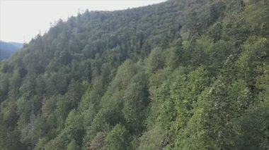 This stock footage shows aerial view of the mountain landscape of the Carpathians, Ukraine in 8K resolution