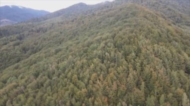 This stock footage shows aerial view of the mountain landscape of the Carpathians, Ukraine in 8K resolution