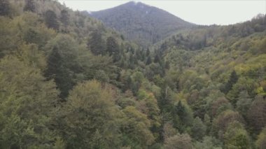 This stock footage shows aerial view of the mountain landscape of the Carpathians, Ukraine in 8K resolution